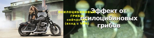 экстази Бородино
