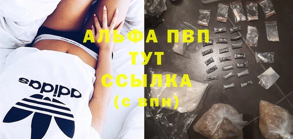 экстази Бородино