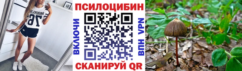 даркнет сайт  blacksprut зеркало  Галлюциногенные грибы мухоморы  Мелеуз 
